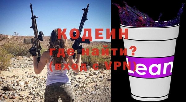 ECSTASY Лагань