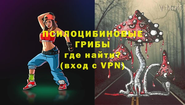 2c-b Ладушкин
