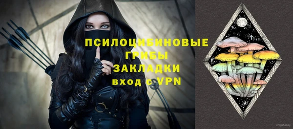 ECSTASY Лагань