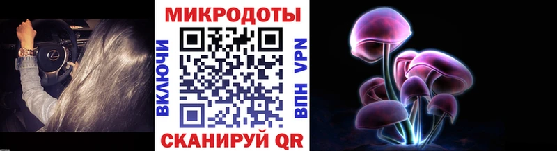 наркотики  Невинномысск  Псилоцибиновые грибы Magic Shrooms 