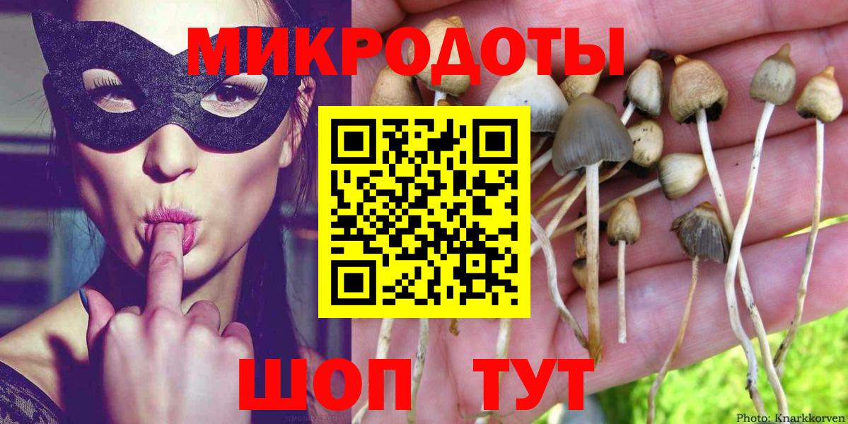 Псилоцибиновые грибы прущие грибы  Вход с VPN  Невинномысск  Галлюциногенные грибы мицелий 